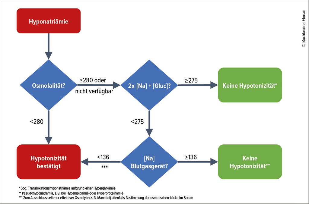 In 5 Schritten aus der Hyponatriämie - Nephrologie - Universimed - Medizin im Fokus